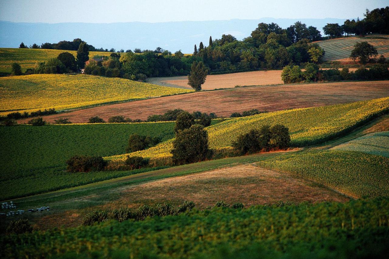 Saint-Félix-Lauragais Auberge Du Poids Public Logis Hotel מראה חיצוני תמונה